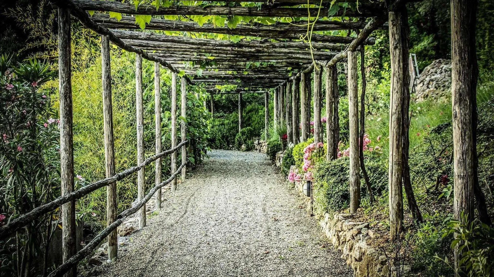 Podere Le Monache Montaione Apartment