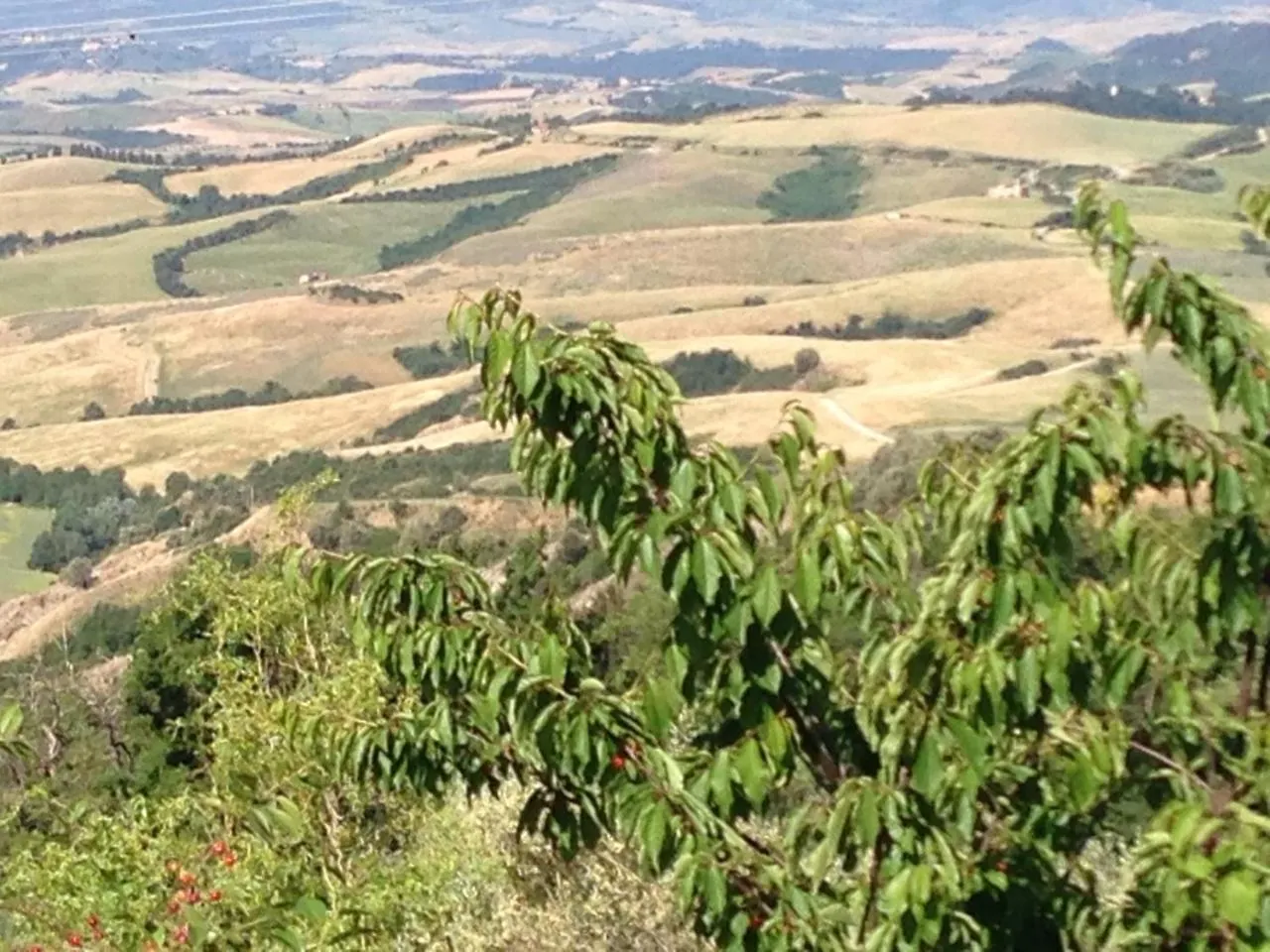 Apartment Podere Le Monache Montaione Italy