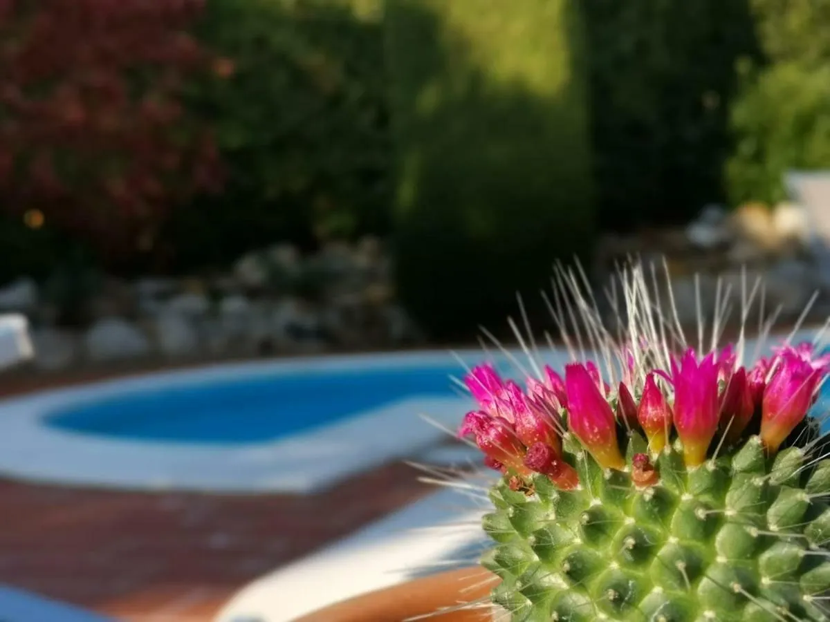 Apartment Podere Le Monache Montaione
