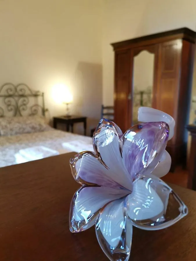 Podere Le Monache Montaione Italië